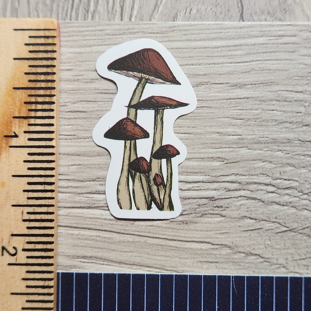 10/$10 Stickers Mushrooms Nature Fungi